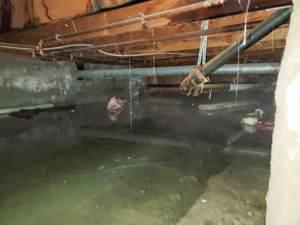 Best Ceiling water damage repair  in Moore, OK