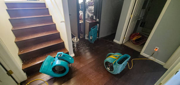 Best 24-hour water damage restoration  in Moore, OK